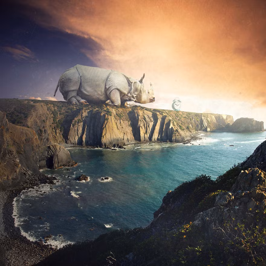 Loạt ảnh thế giới động vật hoang dã của nhiếp ảnh gia Tomek Zaczeniuk đang thu hút được nhiều sự chú ý nhờ góc nghĩ sáng tạo và bạo dạn của mình. Trong ảnh là một con tê giác ngồi đếm thời gian đến khi giống loài của mình thực sự tuyệt chủng.