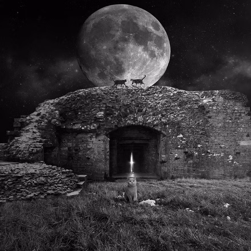 Bức ảnh có tựa đề "Người giám hộ Mặt trăng".