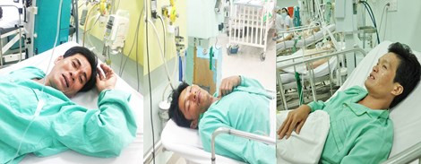 Vừa qua ở Nghĩa An, Cần Giờ đã có ba nạn nhân phải cấp cứu vì trúng độc của con so biển do tưởng đó là con sam biển, ăn nhầm. Trong đó có một người bị nặng nhất bởi ăn phải trứng của con so biển, nơi tích tụ chất độc nhiều nhất trên cơ thể nó.