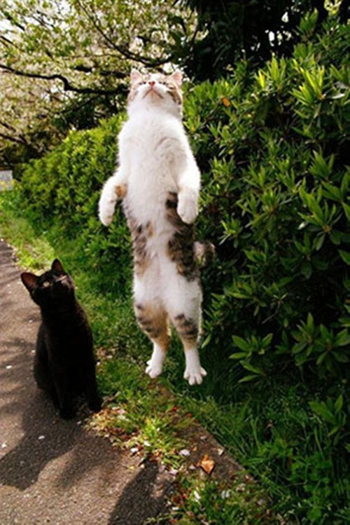 Phút thể hiện với "người yêu".