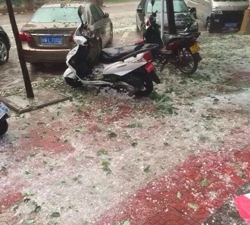 Xem thêm một số hình ảnh khác về trận mưa đá kinh hoàng giết chết hàng trăm con chim én, chim sẻ ở Lương Sơn, Tứ Xuyên, Trung Quốc.