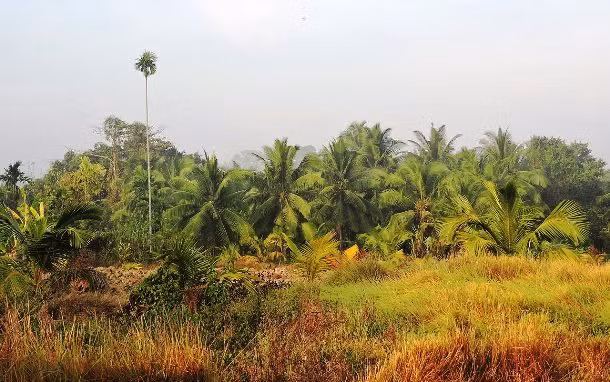 Cư dân trên đảo North Sentinel ở Ấn Độ từ chối tiếp xúc với người ngoài và được cho là sát hại nhiều người cố tình xâm nhập vào hòn đảo này. Ảnh: List25.