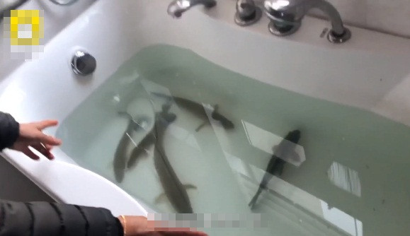 Bi phong thanh, thieu thuc an, nguoi phu nu nghi ra chieu doc du tru thuc pham