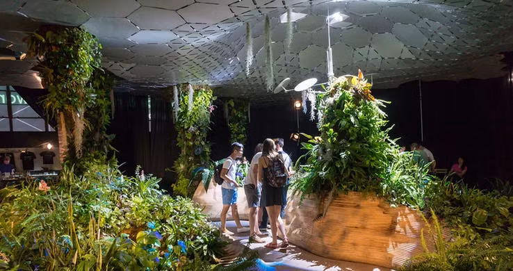 Công viên Lowline, hiện đang được xây dựng ở thành phố New York, sẽ trở thành công viên dưới lòng đất đầu tiên trên thế giới. Chi phí ước tính của dự án này là 55 triệu USD và quá trình xây dựng có thể hoàn tất vào năm 2020.