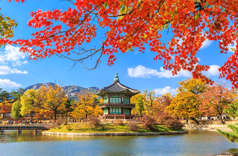 Ngoại tình được hợp pháp hóa tại Hàn Quốc vào năm 2015. Ảnh: Lonly Planet.