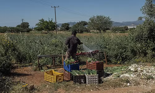 Goc khuat cuoc song nguoi nhap cu Pakistan tai Hy Lap-Hinh-6