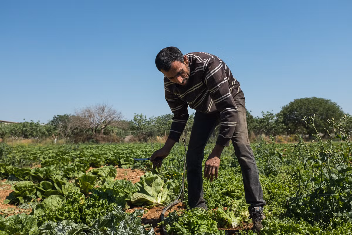 Goc khuat cuoc song nguoi nhap cu Pakistan tai Hy Lap-Hinh-9