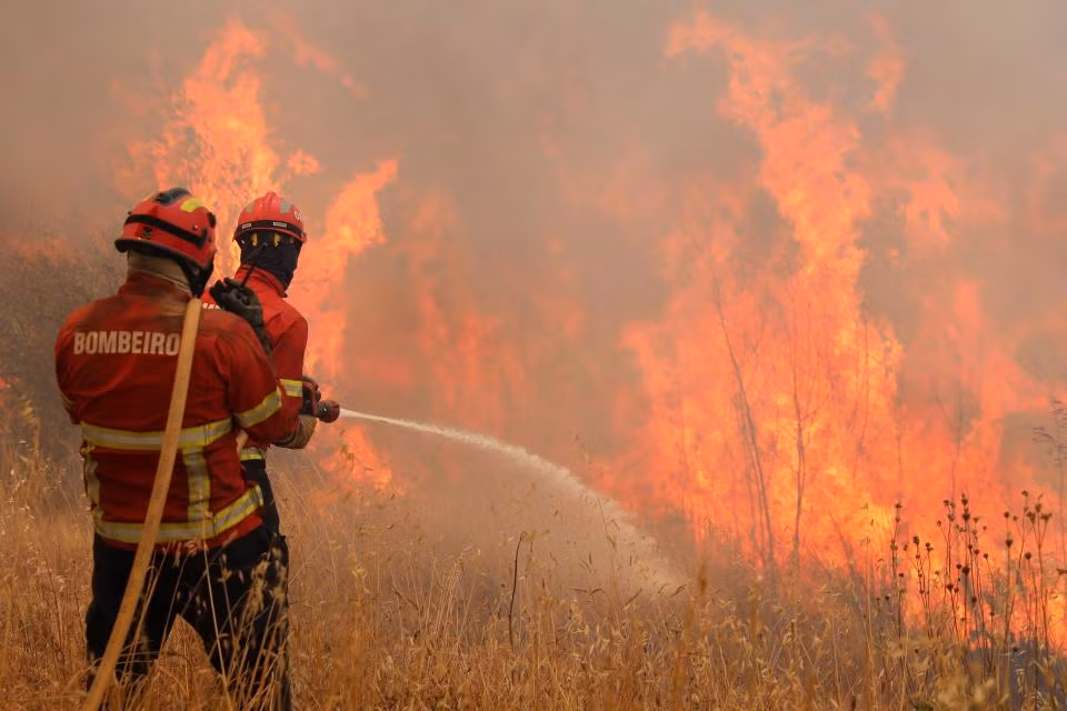 Nang nong ky luc, Chau Au chim trong kho han va chay rung-Hinh-6