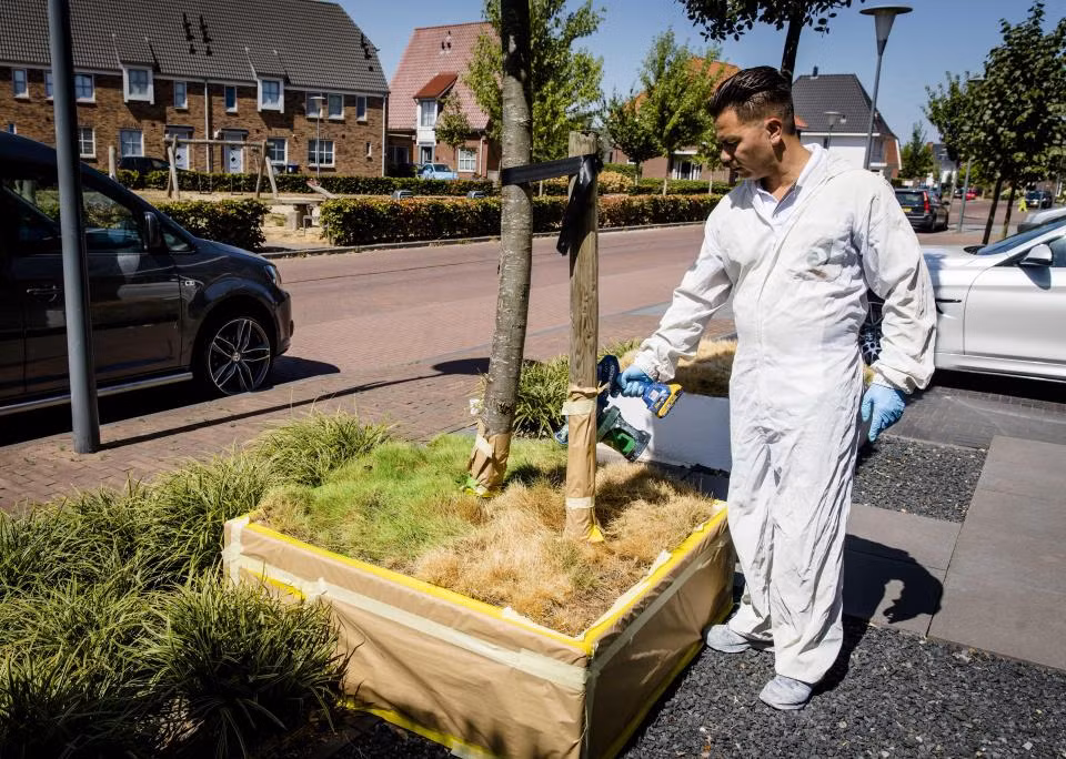 Nang nong ky luc, Chau Au chim trong kho han va chay rung-Hinh-11