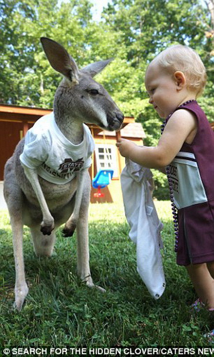 Cả hai đều rất thân thiện.