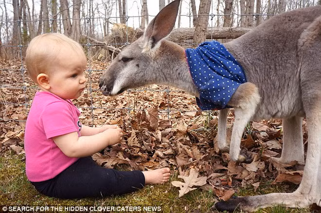 Cả hai thường chơi đùa với nhau ở ngoài sân.