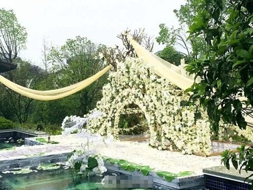 Cũng có không ít những lời bàn ra tán vào về sự lãng phí, chơi trội của đám cưới này nhưng cũng có nhiều người phản bác, cho rằng người ta giàu, người ta có tiền, người ta tổ chức đám cưới khủng là quyền của họ, không nên soi mói quá mức đời tư của người khác. "Hãy phấn đấu để không phải ghen tị đỏ mắt khi nói đến sự giàu có của ai đó!" - một dân mạng bình luận.