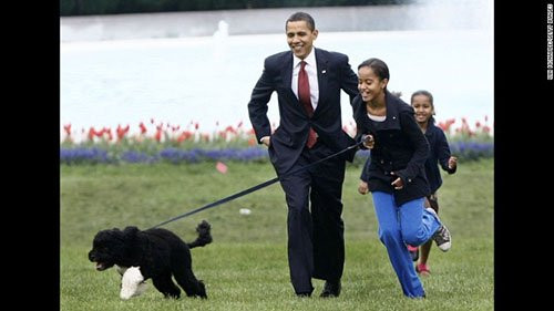 Malia và chú cho Bo (ngoại trưởng Kennedy tặng) chơi trên sân cỏ tại Nhà Trắng (2009).