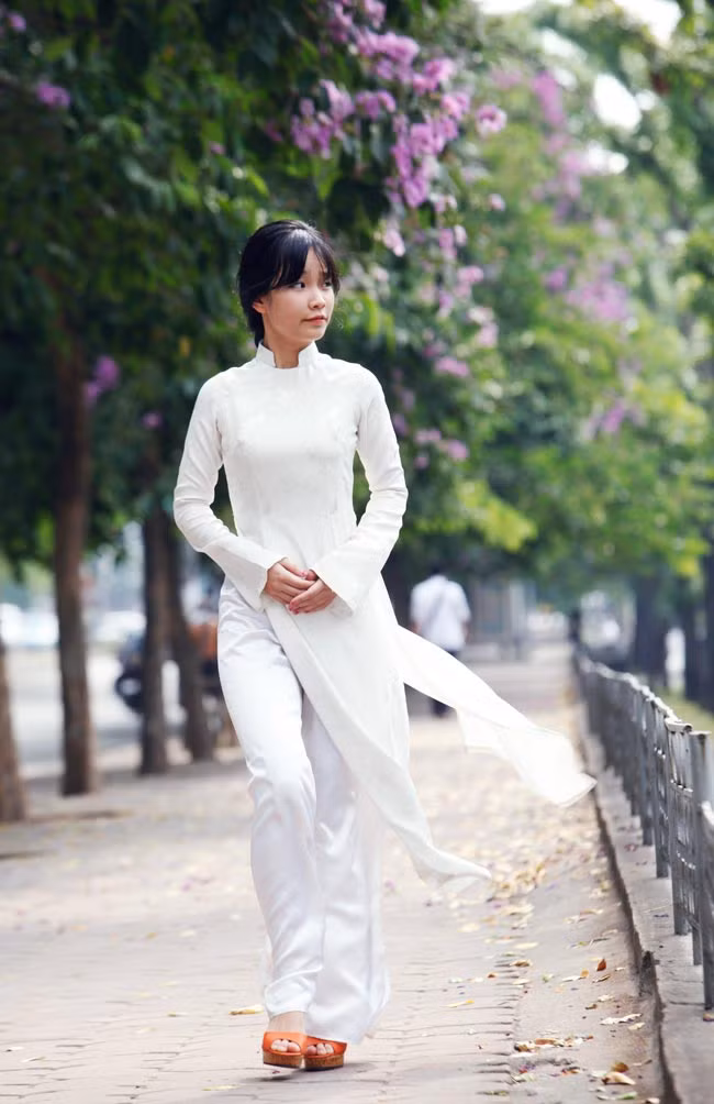 Bằng lăng và hoa phượng luôn gắn liền với tuổi học trò với những giờ phút chia tay đầy lưu luyến.