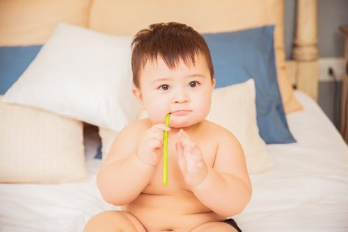 Ngay từ khi được 9 tháng tuổi, Bí Bo đã rất thích nghịch nước.