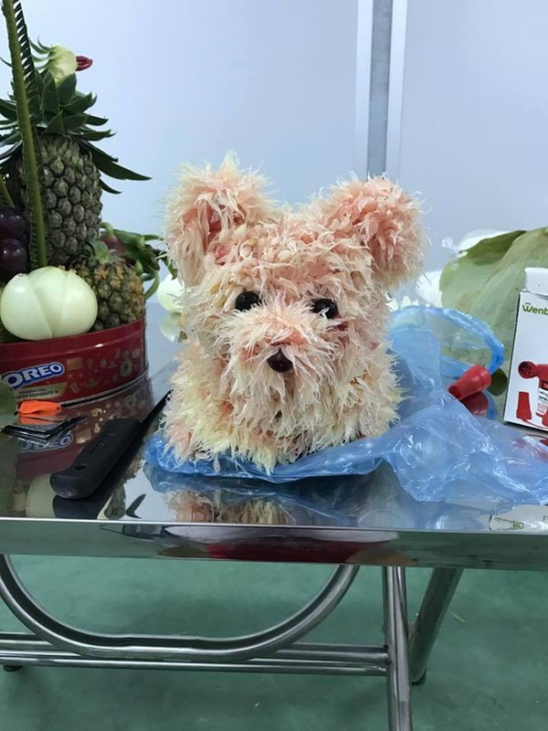 Qua bàn tay gái đoảng những chú chó bưởi trở thành một con vật hoàn toàn khác.