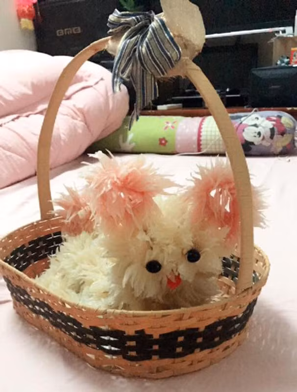 Làm chó bưởi đẹp hay không còn tùy thuộc vào quả bưởi, nhưng đa phần nhờ vào bàn tay người làm.