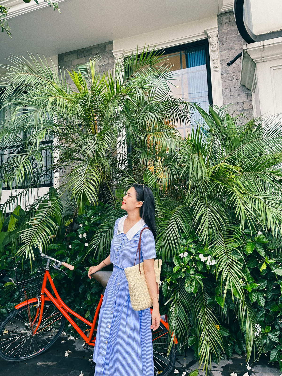 Quế Ngọc Hải đã thầm thương trộm nhớ nàng Hoa khôi với gương mặt ngây thơ, trong sáng nhưng anh cũng mất hai năm để theo đuổi mới nhận được lời đồng ý yêu của nàng.