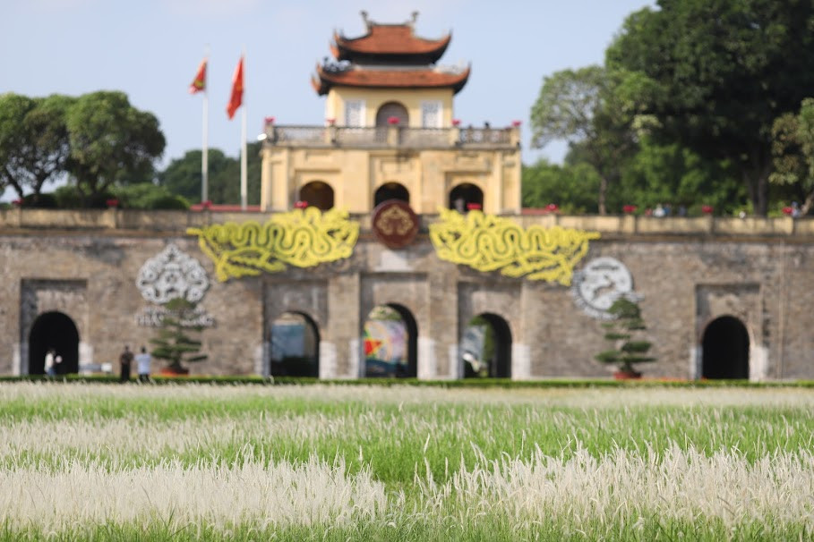 Thời gian này, ngoài chương trình "Đèn thu lung linh" hầu hết du khách tới đây đều bị thu hút bởi một thảm cỏ lau ở bãi cỏ phía trước di tích Đoan Môn Hoàng Thành Thăng Long.