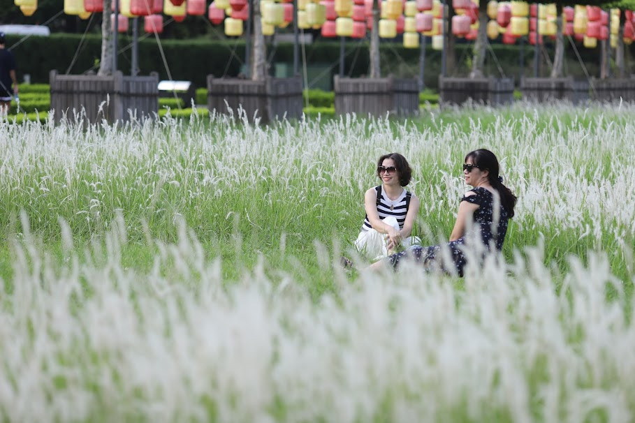 Mùa cỏ lau ở Hoàng Thành Thăng Long là một địa điểm thu hút rất nhiều du khách, đặc biệt là các du khách yêu thích chụp ảnh.