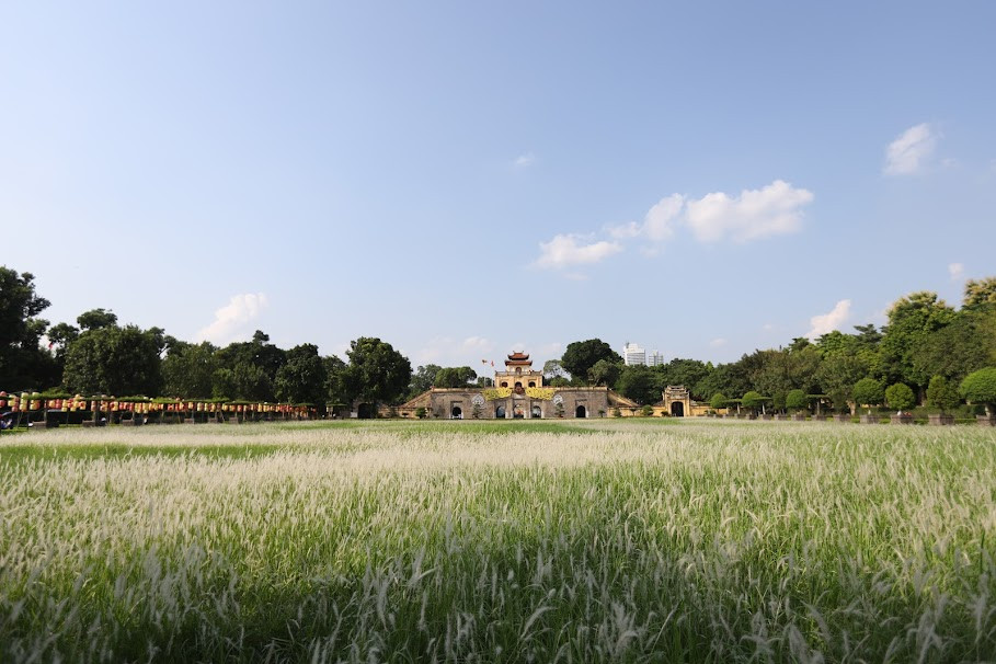 Đây là khu đất trống thường để tổ chức các hoạt động ngoài trời mỗi khi có sự kiện được tổ chức tại đây.