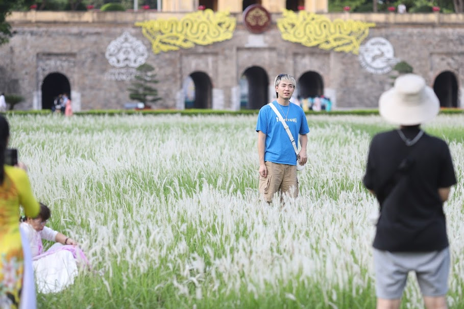 Những bông cỏ lau mỏng manh, uyển chuyển trong gió, tạo nên một bức tranh thiên nhiên tuyệt đẹp thu hút du khách.