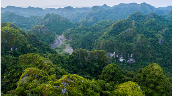 Du lich dao Cat Ba… dau chi co tam bien-Hinh-4