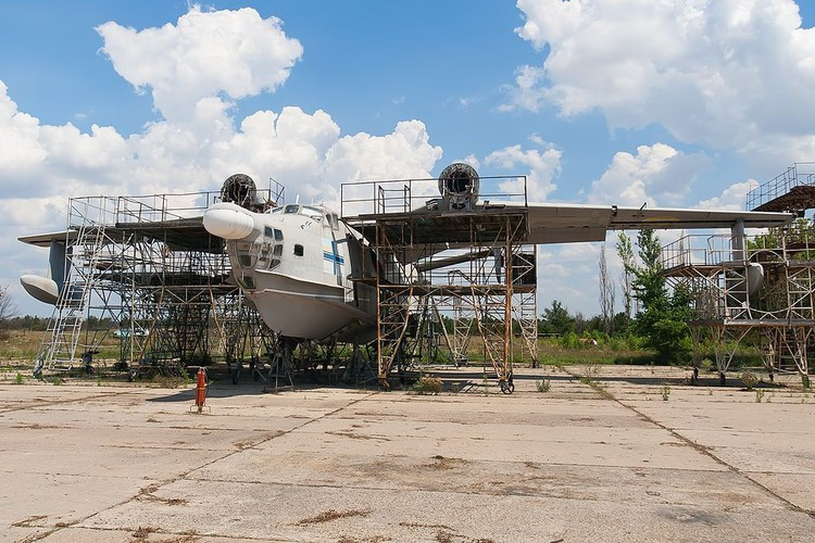 Cánh của Be-12 giống hình cánh chim hải âu dẫn tới tên gọi biệt danh của nó, đầu cánh là tàu nhỏ dạng phao có tác dụng giữ cân bằng khi cất, hạ cánh.