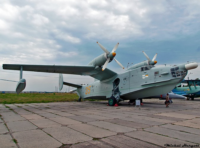 Be-12 mang được tối đa 3.000 kg vũ khí gồm ngư lôi tự dẫn âm thanh AT-1 cỡ 450 mm hoặc loại AT-2 lớn hơn, cỡ 533 mm.