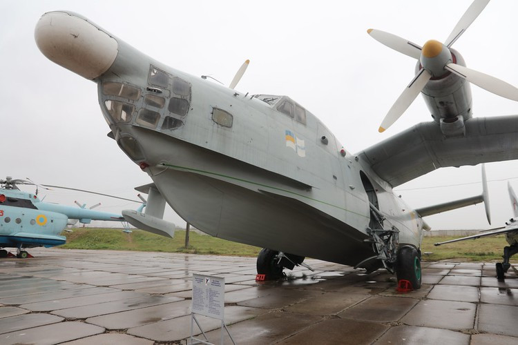 Ngư lôi AT-1/AT-2 có trọng lượng 560/1.050 kg, lắp đầu đạn nặng 70 - 160/80 - 150 kg, tốc độ 27/40 hải lý/h, đầu tự dẫn kích hoạt cách mục tiêu 500 - 1.000 m.