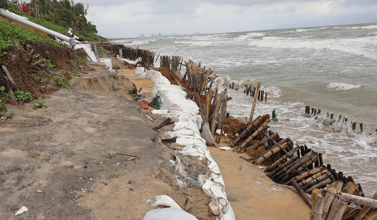 Quảng Nam công bố tình huống khẩn cấp sạt lở bờ biển Hội An Quang Nam cong bo tinh huong khan cap sat lo bo bien Hoi An