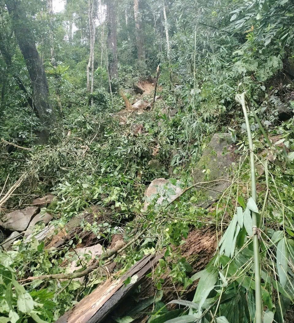 Nam Trà My xin công bố tình huống khẩn cấp nguy cơ sạt lở Nam Tra My xin cong bo tinh huong khan cap nguy co sat lo