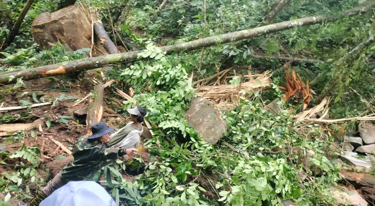 Liên tiếp xảy ra 3 trận động đất mạnh ở Quảng Nam, Kon Tum - Hình 2 Lien tiep xay ra 3 tran dong dat manh o Quang Nam, Kon Tum-Hinh-2