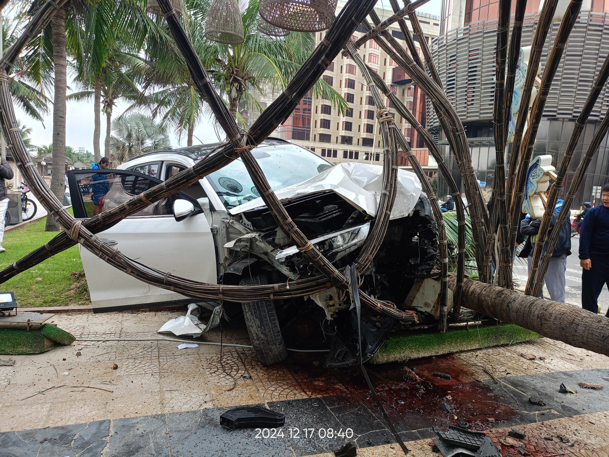 Ô tô nổ lốp, tài xế quyết định đâm vào cổng đường hoa - Hình 2 O to no lop, tai xe quyet dinh dam vao cong duong hoa-Hinh-2