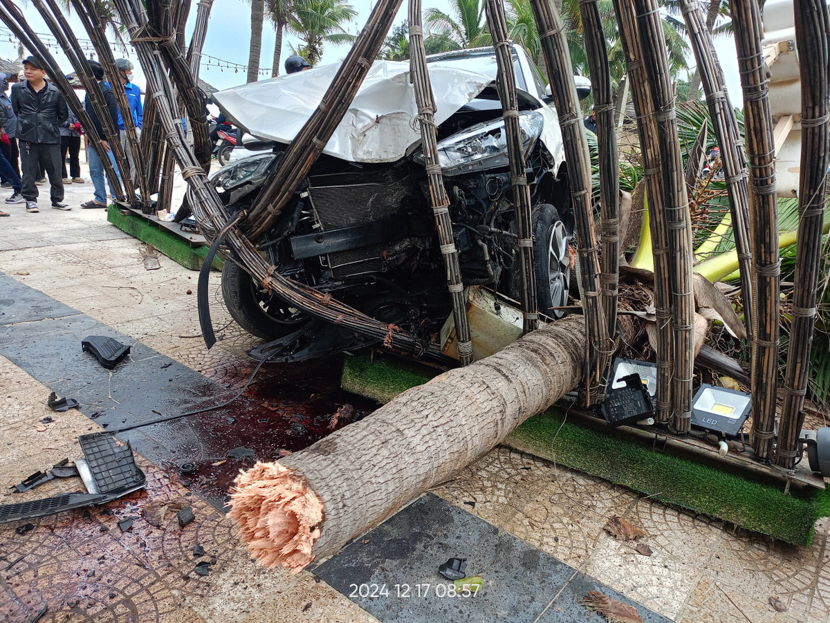 Ô tô nổ lốp, tài xế quyết định đâm vào cổng đường hoa - Hình 3 O to no lop, tai xe quyet dinh dam vao cong duong hoa-Hinh-3