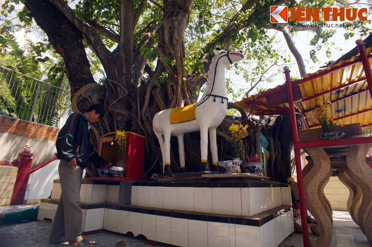 Chỉ có một sự thật đang diễn ra trong thực tế, đó là mộ Tướng Quân đã trở thành địa điểm thờ cúng linh thiêng của người dân cả trong và ngoài tỉnh Khánh Hòa.