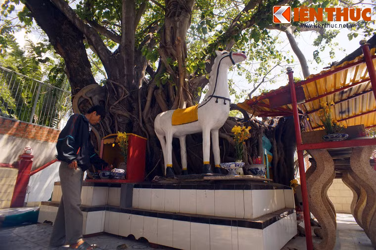 Chỉ có một sự thật đang diễn ra trong thực tế, đó là mộ Tướng Quân đã trở thành địa điểm thờ cúng linh thiêng của người dân cả trong và ngoài tỉnh Khánh Hòa.