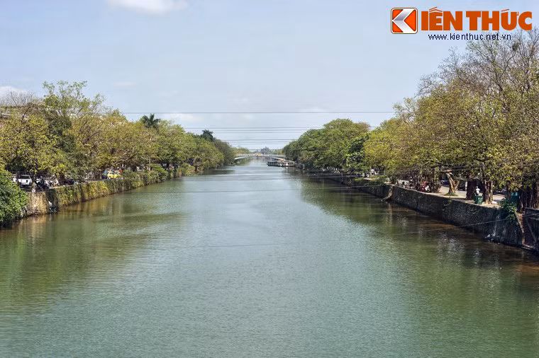 Chạy dọc theo hai bờ của sông Đông Ba, đường Bạch Đằng và đường Huỳnh Thúc Kháng - Đào Duy Anh là hay tuyến đường tập trung nhiều cây cổ thụ của thành phố Huế.