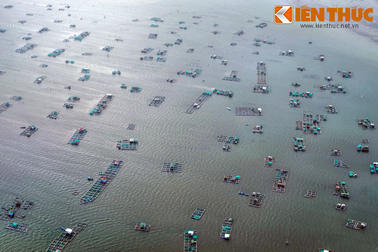 Các lồng bè thủy sản tạo nên một cảnh tượng thú vị trên mặt vịnh khi nhìn từ không trung.