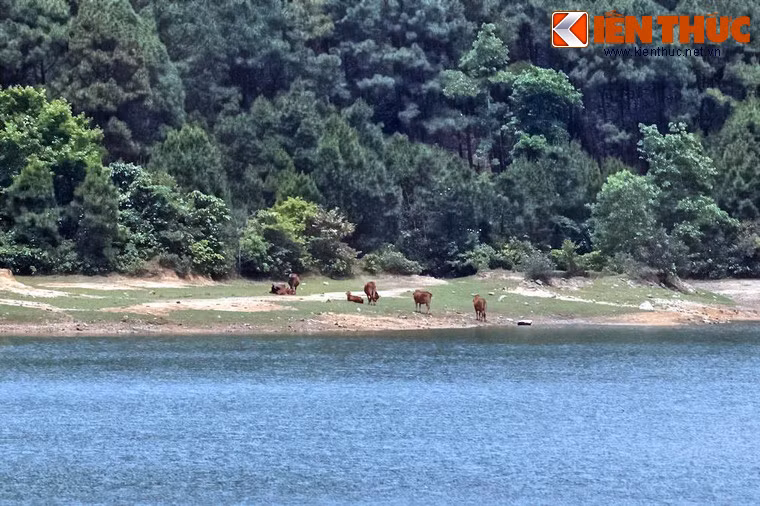 Không chỉ là thắng cảnh đẹp, hồ nước này còn là nơi điều tiết nguồn nước vào mùa mưa bão cũng như cung cấp nước phục vụ như cầu sản xuất, sinh hoạt của người dân thị xã Hà Tĩnh.