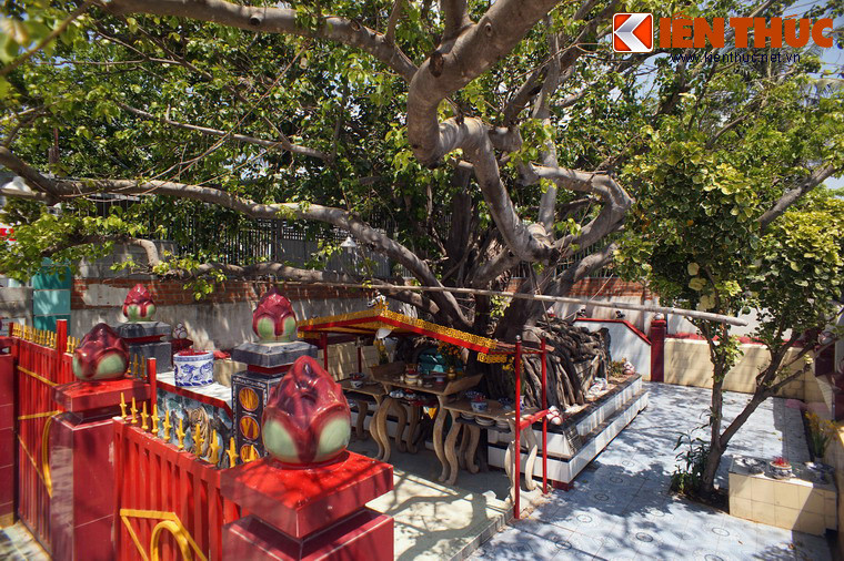 Người dân địa phương không biết mộ này là của ai, được xây từ khi nào, chỉ biết rằng từ nhiều thập niên qua khu mộ đã được gọi là mộ Tướng Quân hay mộ Ông Tướng.