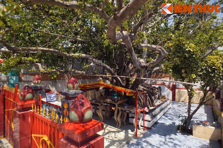 Người dân địa phương không biết mộ này là của ai, được xây từ khi nào, chỉ biết rằng từ nhiều thập niên qua khu mộ đã được gọi là mộ Tướng Quân hay mộ Ông Tướng.