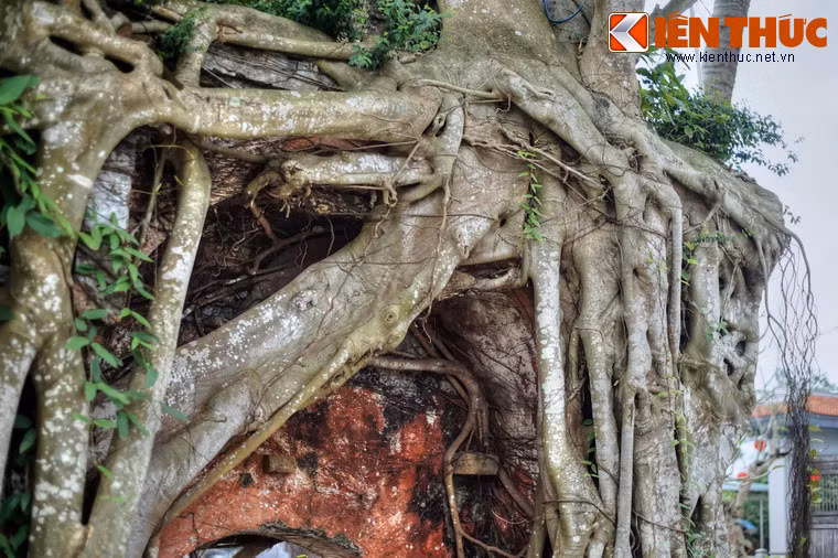 Trong giai đoạn kháng chiến chống Mỹ, chùa đã bị hư hỏng nặng do bom Mỹ đánh phá năm 1967. Trong cơn bão số 12 năm 1985, chùa tiếp tục bị sụp đổ.