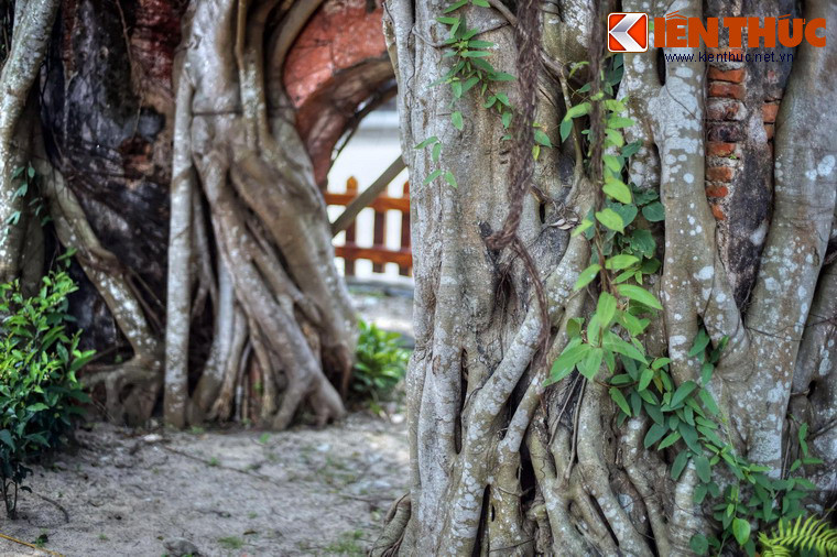 Những năm sau đó, chùa được dựng tạm để phục vụ nhu cầu tâm linh của quần chúng.