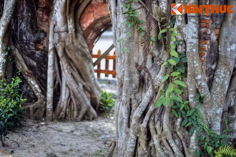 Những năm sau đó, chùa được dựng tạm để phục vụ nhu cầu tâm linh của quần chúng.