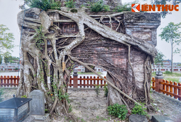 Cánh cổng này có tuổi đời hàng trăm năm, gây ấn tượng đặc biệt với một cây si lớn mọc trùm lên trên.