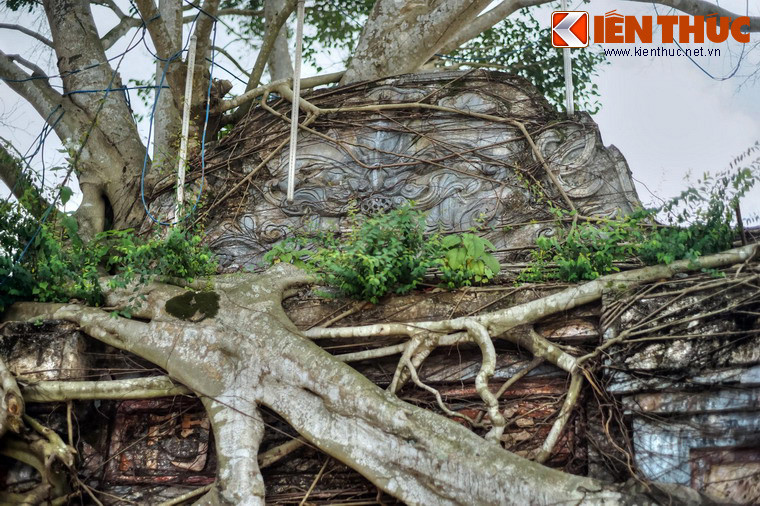 Theo sử sách, vào năm 1301, Phật hoàng Trần Nhân Tông đã ghé thăm chùa Hoằng Phúc và cầu phúc đức cho dân. Khi đó chùa có tên là Am Tri Kiến.