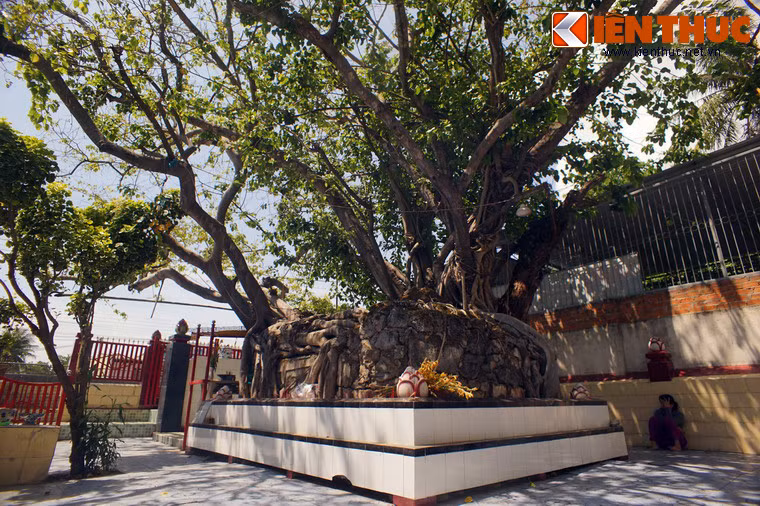 Xung quanh ngôi mộ tồn tại nhiều giai thoại đầy màu sắc kỳ bí. Theo lời người địa phương, trước năm 1975 ngôi mộ là nơi chứng giám cho những lời thề độc, giao ước hoặc kết nghĩa tình huynh đệ của những kẻ sĩ, các tay giang hồ… Nhiều trường hợp thề thốt không giữ lời đã phải trả giá đắt.