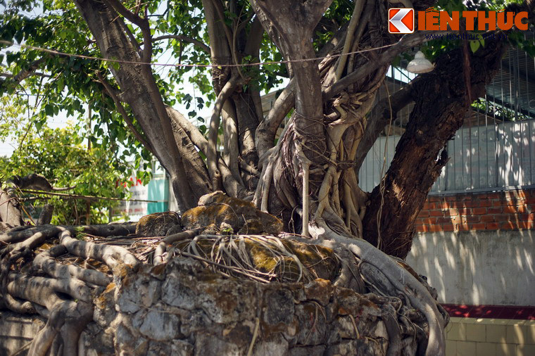 Trưa cùng ngày, đại tá thị trưởng chế độ cũ là Nguyễn Đình Tản nằm ngủ thì thấy một ông già đến báo mộng: “Sao nhà tao mà mày đem quân đến phá”. Tỉnh dậy, Tản sợ quá ra lệnh dẹp máy ủi và cho lính xây tường bao quanh lại. Từ đó, tiếng đồn của ngôi mộ ngày càng lan xa.