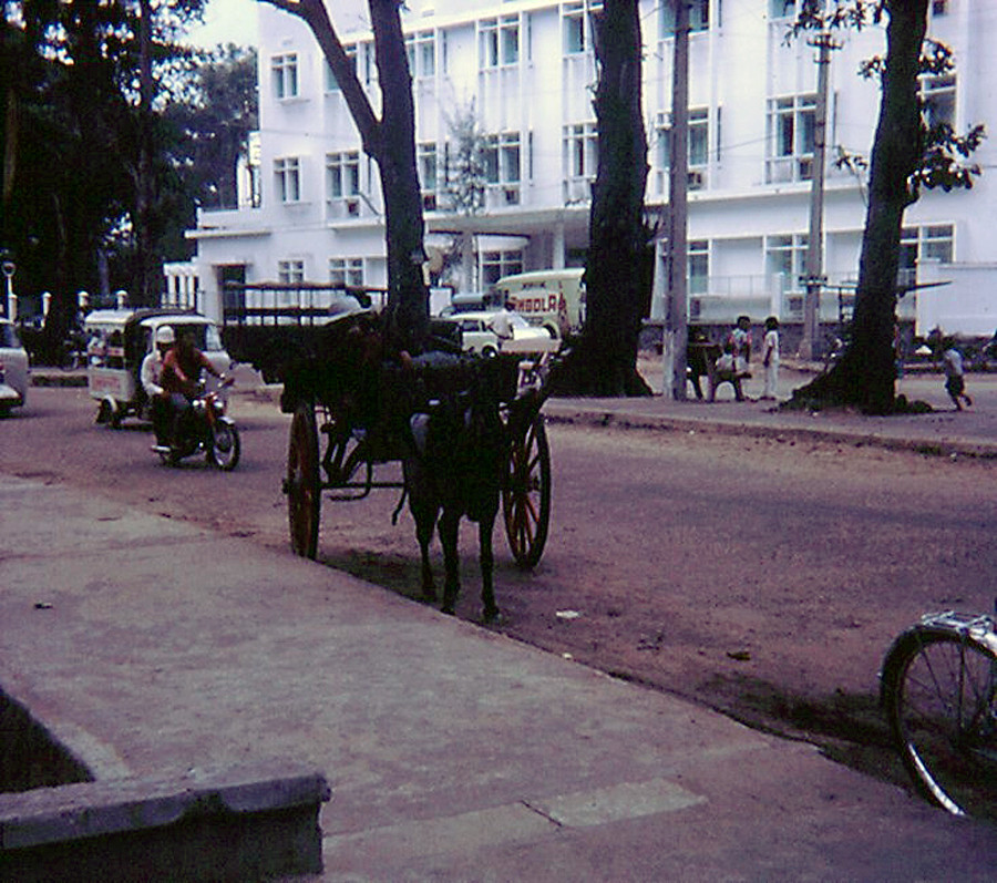 Xe ngựa trên đường phố Vũng Tàu năm 1967. Ảnh: Rod O'Dell.